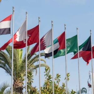 Middle East Growth Capital Investors