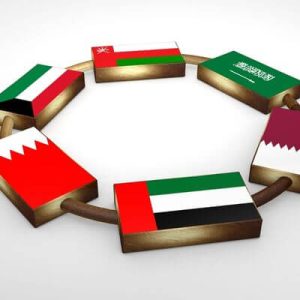 GCC Market Entry & Institutional Partners